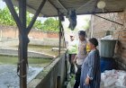 Warga-Pamotan-Porong-Manfaatkan-Lahan-Kosong-untuk-Budidaya-Ikan-Lele,-Dukung-Ketahanan-Pangan