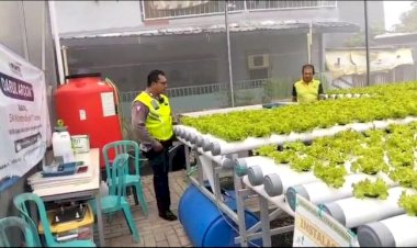 Ubah-Lahan-Kosong-Jadi-Green-House-untuk-Ketahanan-Pangan-Desa-Kletek