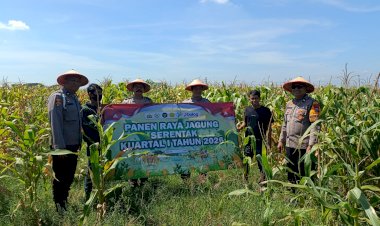 Panen-Raya-Jagung-di-Balongbendo,-Wujud-Dukungan-Polri-terhadap-Ketahanan-Pangan