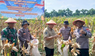 Polsek-Balongbendo-Panen-Raya-Jagung-Perkasa-Hybrida,-Dukung-Swasembada-Pangan-Nasional-2026
