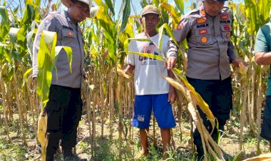 Dukung-Swasembada-Pangan,-Polsek-Prambon-Terus-Dampingi-Petani