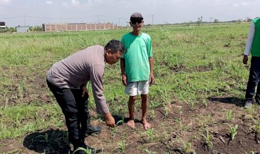 Masifkan-Gerakan-Ketahanan-Pangan,-Polisi-di-Kecamatan-Tarik-Dampingi-Petani