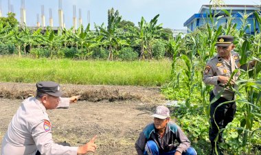 Polsek-Sedati-Optimis-Pengelolaan-Lahan-Jagung-Berhasil-Dukung-Ketahanan-Pangan