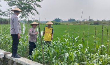 Polisi-Monitoring-Lahan-Tumpang-Sari-Jagung-di-Desa-Jiken-untuk-Dukung-Ketahanan-Pangan