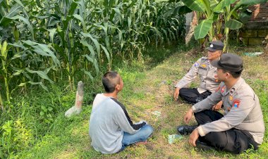 Polsek-Tarik-Pantau-Perkembangan-Tanaman-Jagung-Guna-Swasembada-Pangan