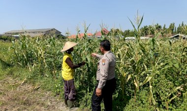 Petani-Desa-Lebo-Apresiasi-Dukungan-Polisi-Terhadap-Upaya-Ketahanan-Pangan