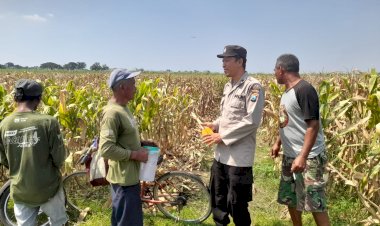 Kapolsek-Prambon-Masifkan-Bhabinkamtibmas-Sambang-Petani,-Guna-Dongkrak-Swasembada-Pangan