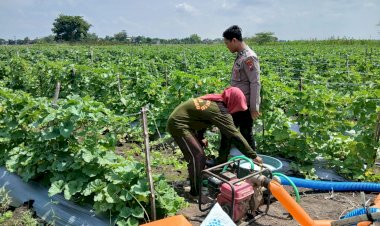 Polisi-Dukung-Ketahanan-Pangan-Petani-Melon