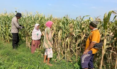 Polsek-Balongbendo-Dukung-Swasembada-Pangan