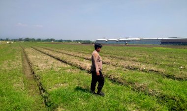 Dukung-Ketahanan-Pangan,-Polsek-Prambon-Cek-Kesiapan-Lahan-Jagung-di-Bulang