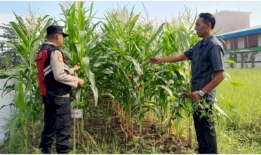 Bhabinkamtibmas-Desa-Keboharan-Optimalkan-Ketahanan-Pangan-Lahan-Jagung