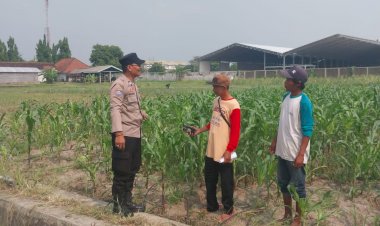 Motivasi-Petani-Desa-Lebo,-Polisi-Pastikan-Perkembangan-Jagung-Penuhi-Swasembada-Pangan