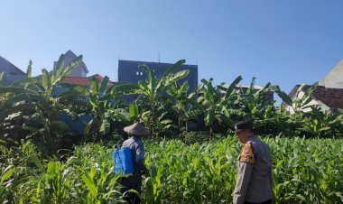 Polisi-Dampingi-Perawatan-Lahan-P2B,-Perkuat-Swasembada-Pangan-dan-Tingkatkan-Ekonomi-Warga
