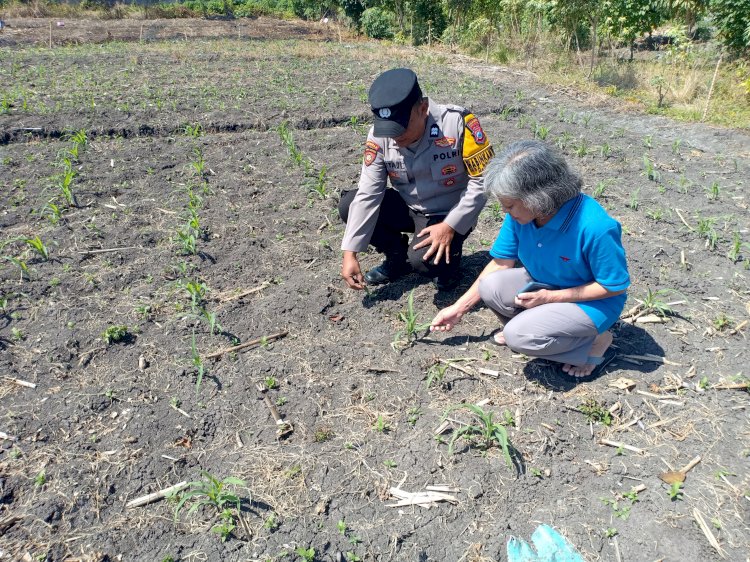 Polsek Taman Patroli Ketahanan Pangan Beri Semangat Petani Tingkatkan Panen