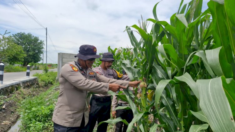 Sinergi Polri dan BUMDes Dukung Ketahanan Pangan