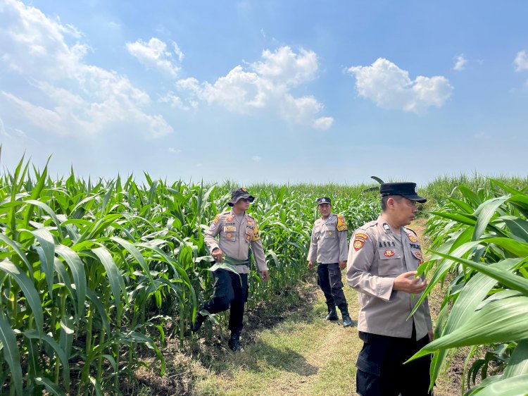 Polisi Cinta Petani Kawal Program Ketahanan Pangan di Krembung