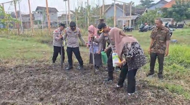 Kapolsek Tanggulangin Bersama Gapoktan Tanam Jagung Hibrida di Desa Kedensari, Dukung Ketahanan Pangan Nasional