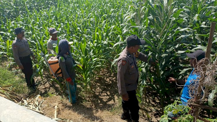 Polsek Balongbendo Galang Petani Wujudkan Swasembada Pangan