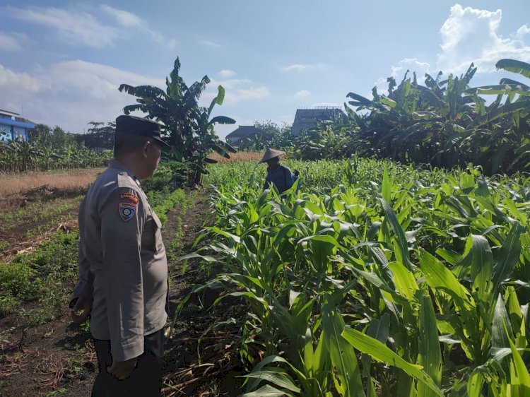 Polisi Cinta Petani, Bhabinkamtibmas Polsek Sedati Kawal Pekarangan Pangan Bergizi Demi Sukseskan Swasembada Pangan